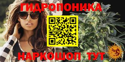 ECSTASY Бугуруслан