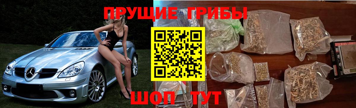 Псилоцибиновые грибы GOLDEN TEACHER  Вход с VPN  Псилоцибиновые грибы MAGIC MUSHROOMS  Рубцовск 